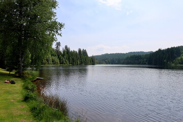 Der Windgfällweiher im Schwarzwald im Frühling