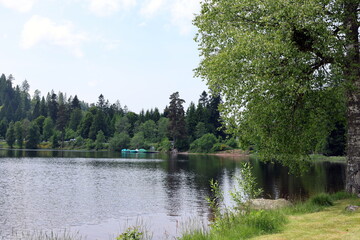 Der Windgfällweiher im Schwarzwald im Frühling