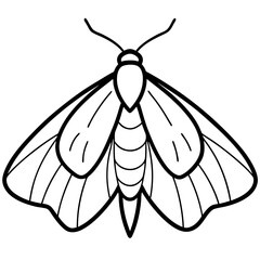 Moth  line art vector