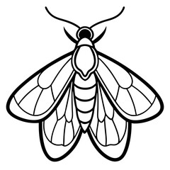 Moth  line art vector