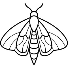 Moth  line art vector