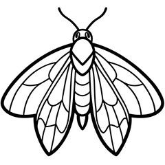 Moth  line art vector