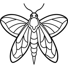 Moth  line art vector