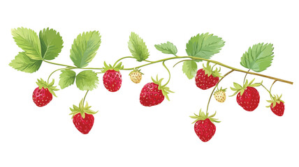 Fresh Ripe Wild Strawberries Growing on Branch - Vibrant Nature Image