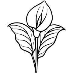Peace Lily line art vector
