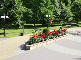 Design of landscaping in the garden, park, square, recreation area