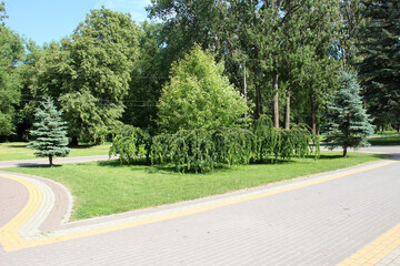 Design of landscaping in the garden, park, square, recreation area