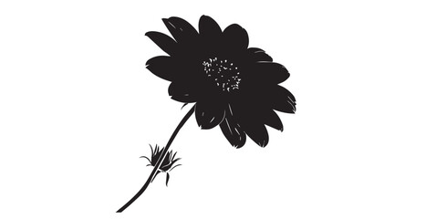 Elegant black daisy flower silhouette with bud on stem