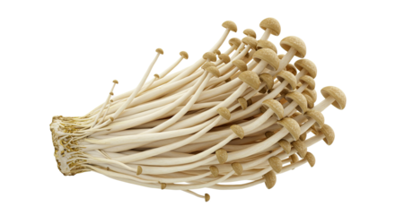 Bunch of brown beech mushrooms clustered together in a visually appealing arrangement