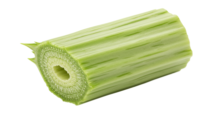 Close up of a fresh sliced galangal root with intricate patterns and texture