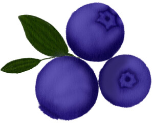 blueberries isolated on white background