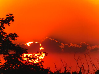 sunset in the forest