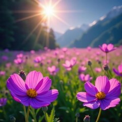 Vibrant purple cosmos dance in a sunlit field , nature, breeze