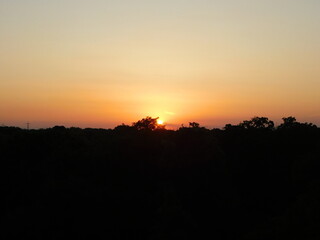 sunset over the field