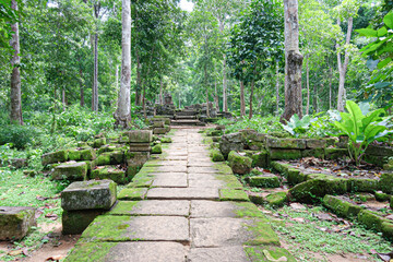 Naklejka premium Ancient stone pathway surrounded by dense green forest and moss-covered ruins, evoking a serene and mysterious atmosphere.