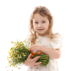 Cute little girl with bouquet of beautiful chamomile flowers on white background
