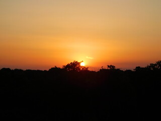 sunset over the field