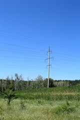 Power lines in a field