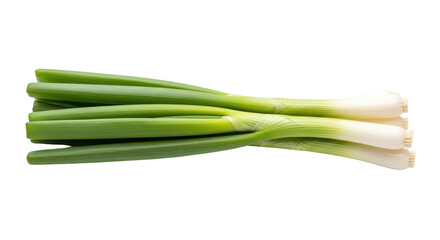 Isolated Green Onions