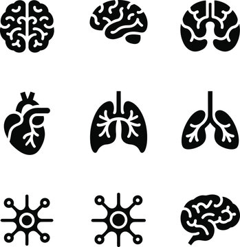 High-Quality Medical Organ Symbols.