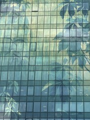 Glass building facade reflecting tree leaves and natural greenery. Urban nature contrast, great for eco-architecture and environmental city design visuals