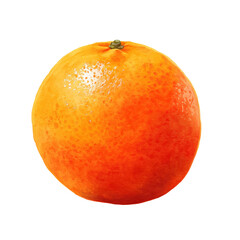 Hand-painted watercolor orange duo no background