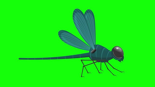 Animated Dragonfly Moving Up and Down. Cartoon animation of red and green dragonflies flying up and down on green screen background.