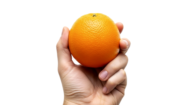 A Hand Holding a Fresh, Juicy Orange: A Burst of Vitamin C