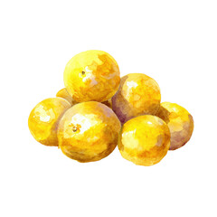 Watercolor painting nance berries bunch transparent background