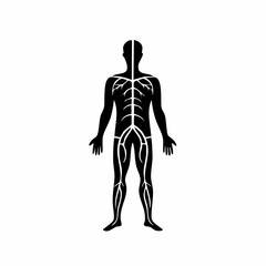 Fototapeta premium Human Blood Vessels Black Glyph Icon (Color Changes Available in SVG)