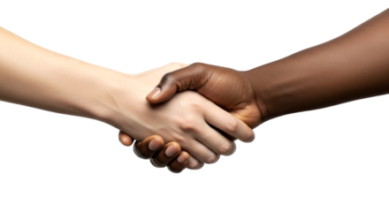 Interracial Handshake: Unity, Diversity, and Collaboration.  A powerful image symbolizing teamwork and agreement.