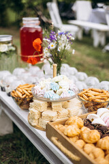 Wooden tray with assorted sweets on table outdoors, picnic dessert composition.