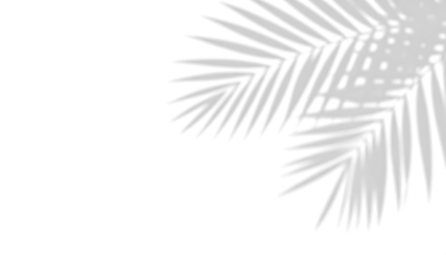 Palm leaf silhouette on a transparent background - Powered by Adobe