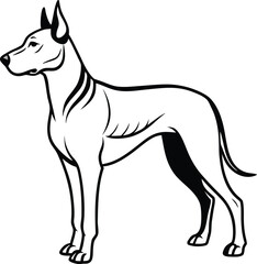 Thai Ridgeback Dog Vector Illustration Isolated on White Background, Thai Ridgeback Clipart, Ridgeback Dog Vector, Thai Dog Illustration
