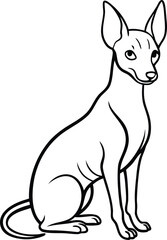 Xoloitzcuintli Sitting Vector Illustration of Rare Mexican Hairless Dog Isolated, Xoloitzcuintli Dog Clipart, Sitting Hairless Dog Vector, Mexican Dog Breed Drawing