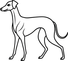 Azawakh Dog Walking Vector Illustration in Side View Cartoon Style Isolated on White Background, Walking Azawakh Dog Clipart, African Sighthound Vector, Graceful Dog Breed Drawing