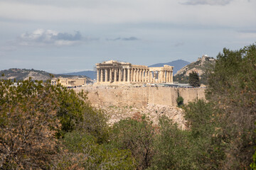 View of the Acropolis through branches of bush, Athens