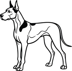 Great Dane Dog Vector Illustration of Giant Purebred Breed Standing in Side Profile Isolated on White Background, Great Dane Clipart, Cartoon Giant Dog Vector, Strong Tall Dog Sketch
