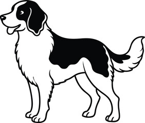 Kooikerhondje Dog Vector Illustration of Rare Dutch Spaniel-Type Breed Isolated on White Background, Dutch Kooiker Dog Clipart, Cartoon Spaniel Vector, Rare Duck Hunting Dog Drawing

