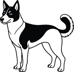 Norwegian Lundehund Vector Illustration of Rare Nordic Dog Breed in Standing Pose Isolated on White, Lundehund Dog Clipart, Nordic Spitz Dog Vector, Rare Norwegian Dog Drawing

