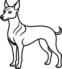 Peruvian Inca Orchid Dog Vector Illustration of Rare Hairless Breed in Side View Pose, Hairless Dog Clipart, Exotic Pet Vector, Peruvian Sighthound Drawing
