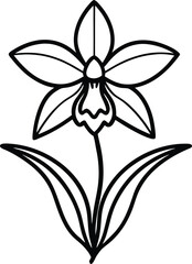Simple Flower Outline Vector Illustration in Black and White Minimal Style, Flower Line Art Clipart, Botanical Sketch Vector, Elegant Floral Drawing Isolated


