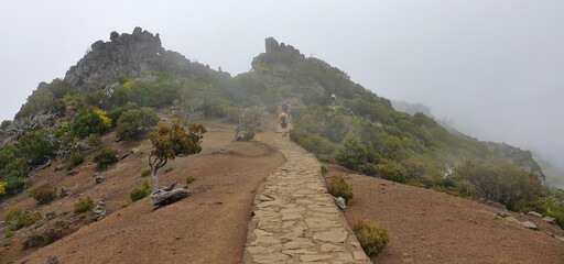 Trek à Madère 2025 - Jour 3 (parc forestier de Pico Das Pedras, parc forestier de Queimadas, Pico...