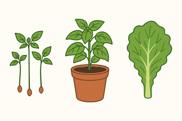 Obraz premium Indoor plant arrangement with shelves, hanging planter, and potted greenery vector icon isolated illustration