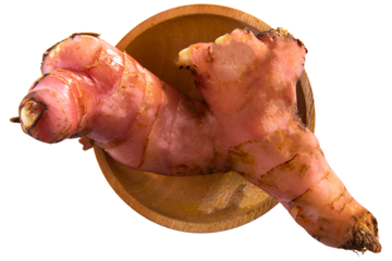 galangal on wooden bowl top view isolated on white