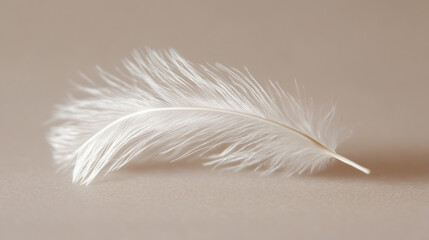 Obraz premium Macro Closeup of a Delicate White Dandelion Seed Head with Fine Details, Set Against a Soft, Blurred Background.
