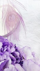 Lavender Hydrangea with Dyed Peacock Feathers on White Background