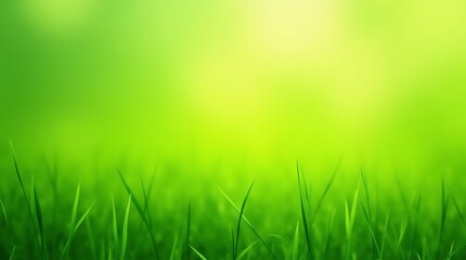 Fototapeta premium An inspiring photo realistic shot displays a green gradient, reflecting a vibrant and inspiring atmosphere for web design.