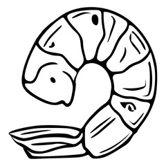 Vector illustration of a single shrimp, detailed black and white line art style, showcasing the crustaceans segmented body and tail.