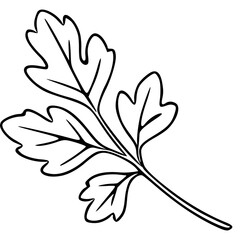 Vector illustration of a single parsley sprig with detailed, hand-drawn style leaves and a bold, black outline against a clean white background.